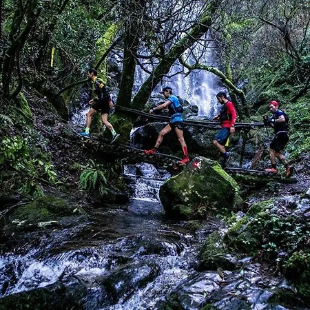 Cellar House - Casa Do Palheiro Dom wakacyjny