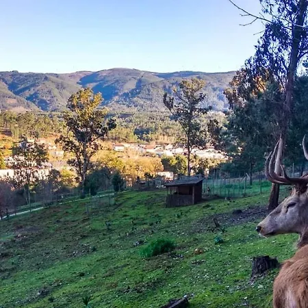 Cellar House - Casa Do Palheiro מירנדה דו קורבו