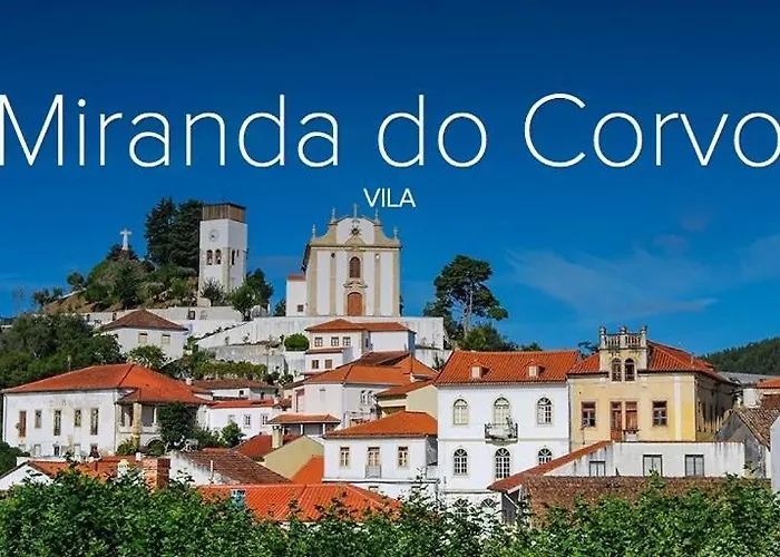 Cellar House - Casa Do Palheiro * Miranda do Corvo