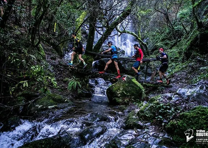 Cellar House - Casa Do Palheiro Feriehus