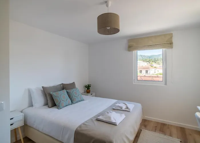 Cellar House - Casa Do Palheiro Casa de Férias Miranda do Corvo