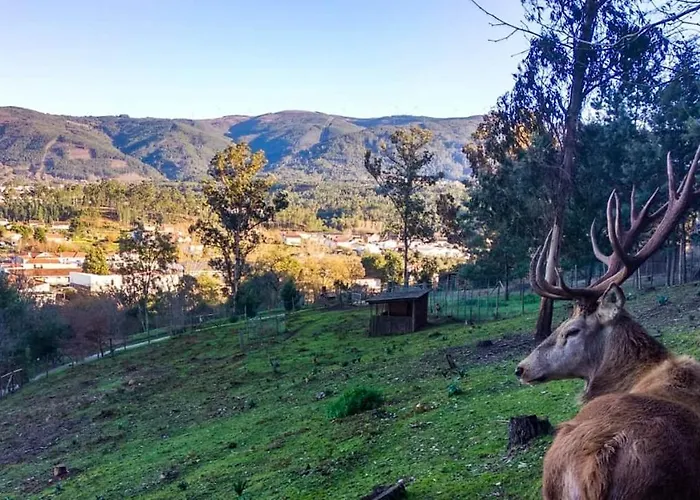 Cellar House - Casa Do Palheiro Miranda do Corvo